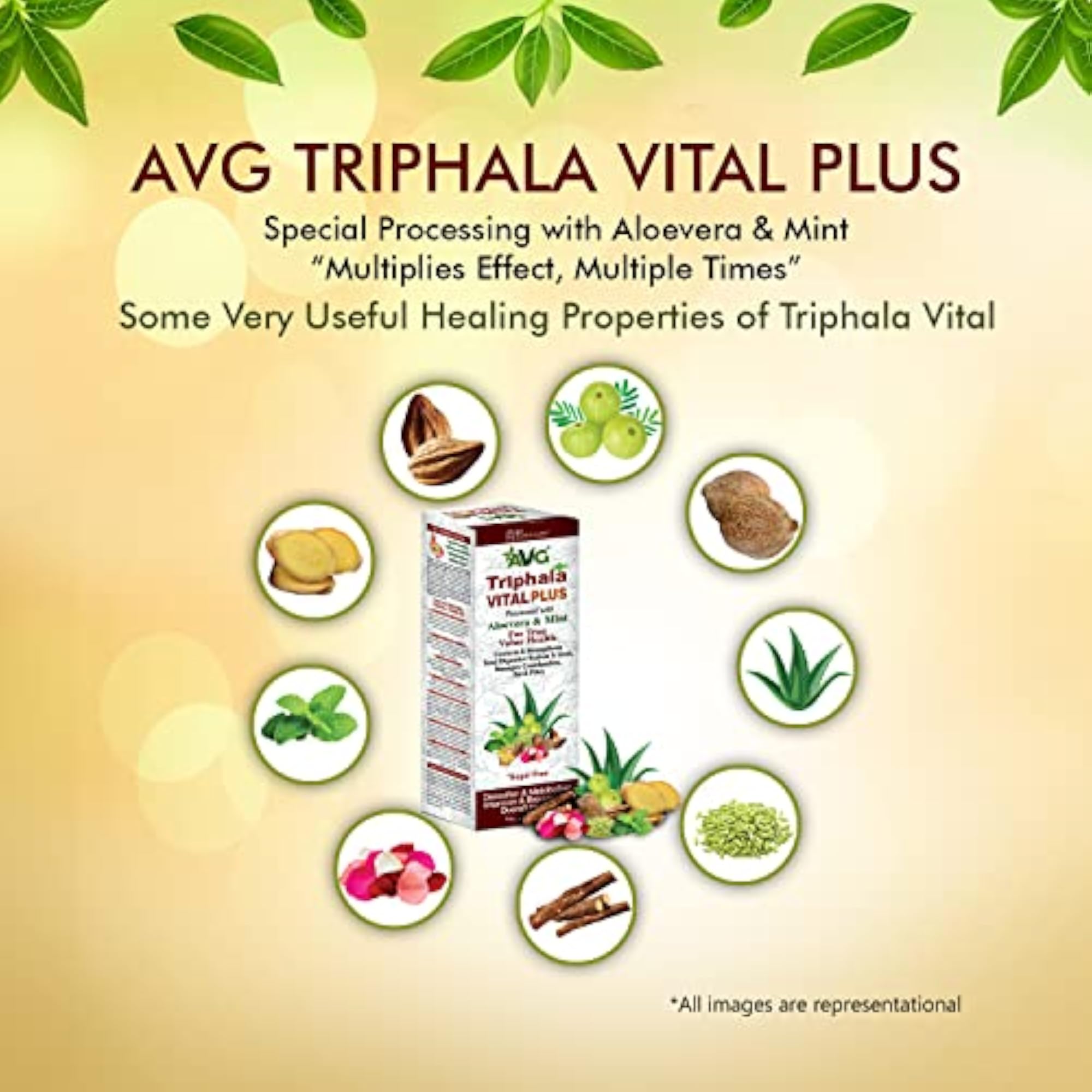 AVG Health Organics Triphala Vital Plus, 1L Pack of 2