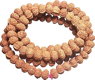 Aldomin Natural Energized Mukhi Rudraksh Bead/Mala Price In India