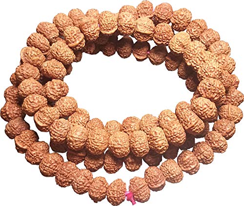 Aldomin Natural Energized Mukhi Rudraksh Bead/Mala - Review, Price and Buying Guide