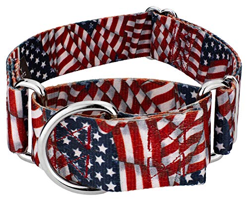 Country Brook Design - 1 1 2 Inch Patriotic Tribute Martingale Dog Collar-Medium