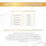 Gourmet Gold Zarte Häppchen in Sauce Katzenfutter nass, mit Lachs und Huhn, 12er Pack (12 x 85g)