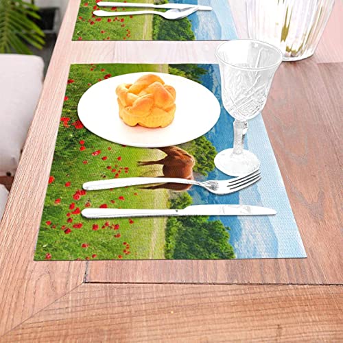Napperon chevaux résistant à la chaleur solution lavable pour table propre - 6