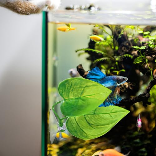 Image of Betta Hammock,Betta Tank Accessories,Fish Toy,Simulating The Natural Habitat for Betta Spawning Grounds,Rest Area for Fish Aquarium Ornaments