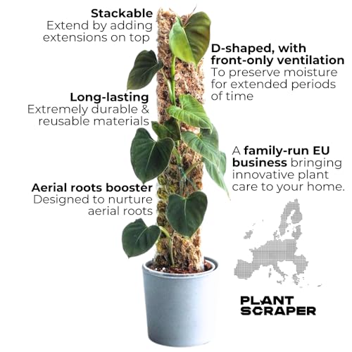 Moosstab für Monstera und Kletterpflanzen Zubehör Set mit 5 Pflanzstäben, Bild 3 von 6