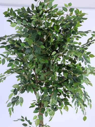 Image of ARICK DECOR 6.5Ft Large Artificial Ficus Tree - 6.5ft Tall Faux Lush Fig Tree with Natural Wood Trunk in Pot - Realistic Greenery for Living Room, Office, Hotel & Indoor Decor (99.7W x 200H cm)