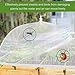 Lauon Food Cover Mesh Food Tent, 17