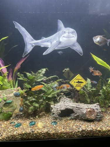 OrnaMounts 3D Great White Shark Aquarium Background…