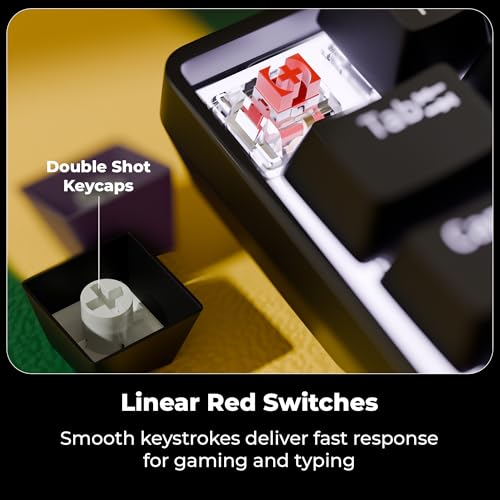 Image of Zebronics Mechanical Keyboard, Silent Linear Red Switches, 61 Keys Layout, 26 Key Anti Ghosting, Double Shot Keycaps, 17 LED Modes, Media Controls, 1.5m Cable (Max Ninja 61, Black)