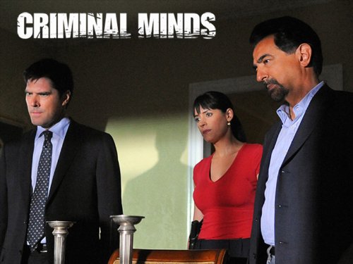 Criminal Minds, Season 6