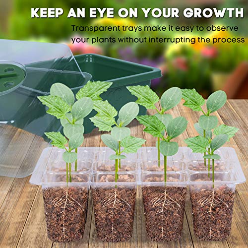 MIXC 10 Packs Seed Starter Tray Seed Starter Kit with Humidity Dome (120 Cells Total Tray) Seed Starting Trays Plant Starter Kit and Base Mini Greenhouse Germination Kit for Seeds Growing Starting