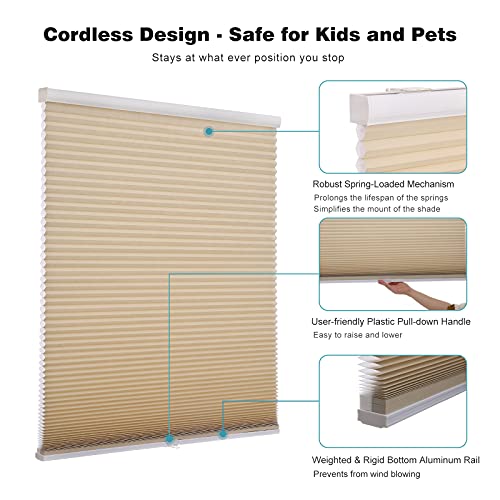 Changshade Cordless & Light Filtering Cellular Shade, Pleated Honeycomb Shade With The Diameter Of 1.5 Inch Honeycombs, Polyester Window Shade And Blind, 24 Inches Wide, Beige Cel24Bg48D #TOP1