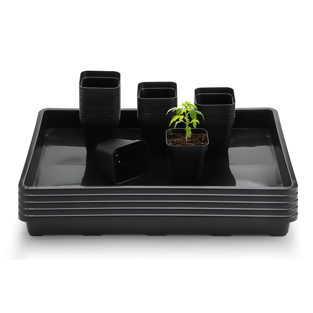 RooTrimmer 2.8 inch (7CM) Square Nursery Pots 120pcs with 5 Pack Seed Starter Trays, Durable Plastic Flat Seedling Tray (17"x11"x2") for Carrying and Holding Plant Nursery Pot (Black)