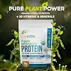 LIVEGOOD Complete Plant Based Protein Powder with Organic Pea Protein and Essential Amino Acids for Muscle Support, Recovery, Energy and Daily Nutrition, Vanilla Protein Supplement (30 Servings)