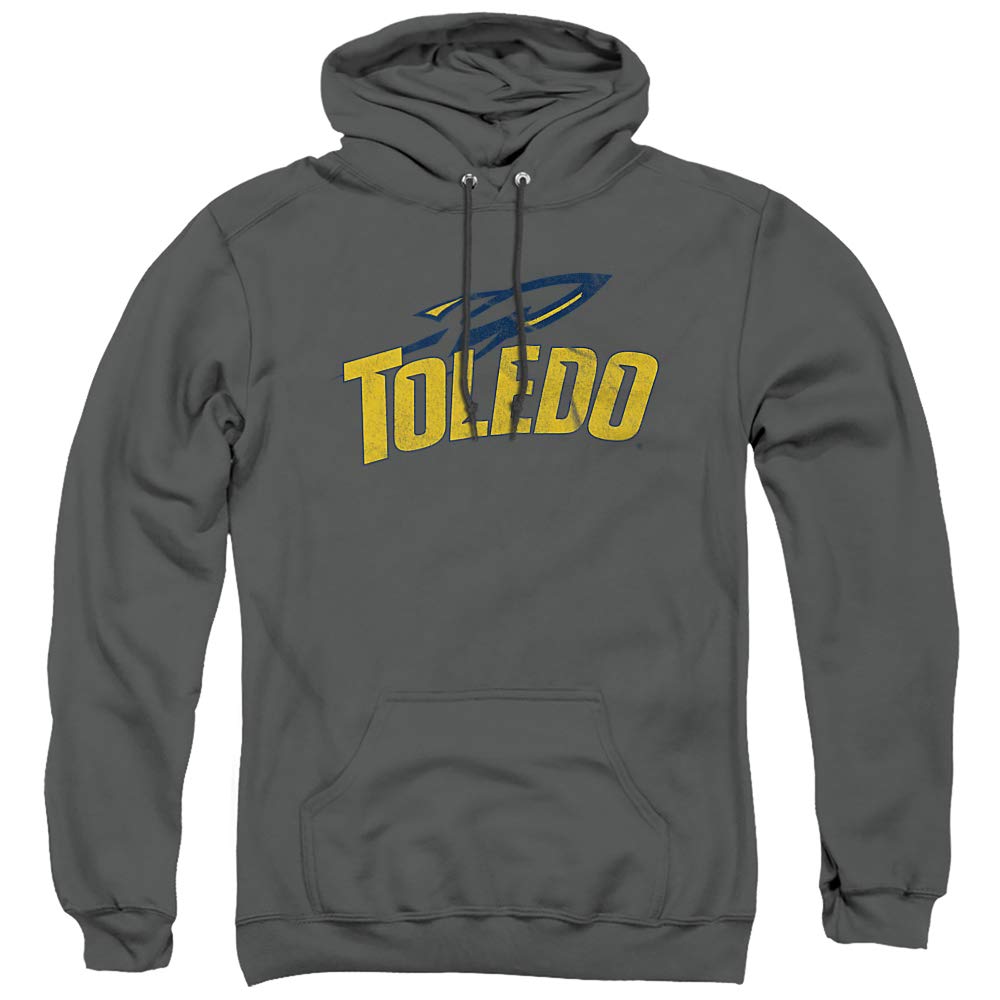 LOGOVISION Official Collegiate Distressed Primary Logo Adult Pullover Hoodie Collection — view 15