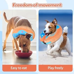Dog Donut Cone Collar - Inflatable Dog Cone Recovery Adjustable Dog Donut Cone Collar for Dogs Dog Neck Donut Collar E Collar for Dogs Cats After Surgery-XL Dog Donut Cone Collar – Inflatable Dog Cone Recovery Adjustable Dog Donut Cone Collar for Dogs Dog Neck Donut Collar E Collar for Dogs Cats After Surgery-XL