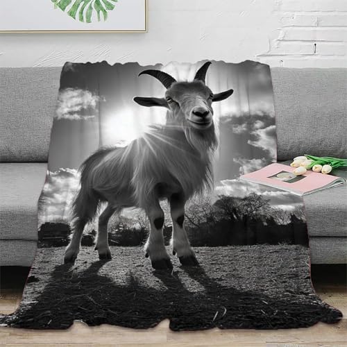 Couverture de voyage microfibre contre le froid au bureau et à la maison