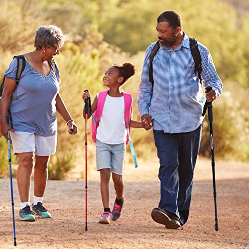 Deekin Aluminum Alloy Adjustable Trekking Poles #TOP20