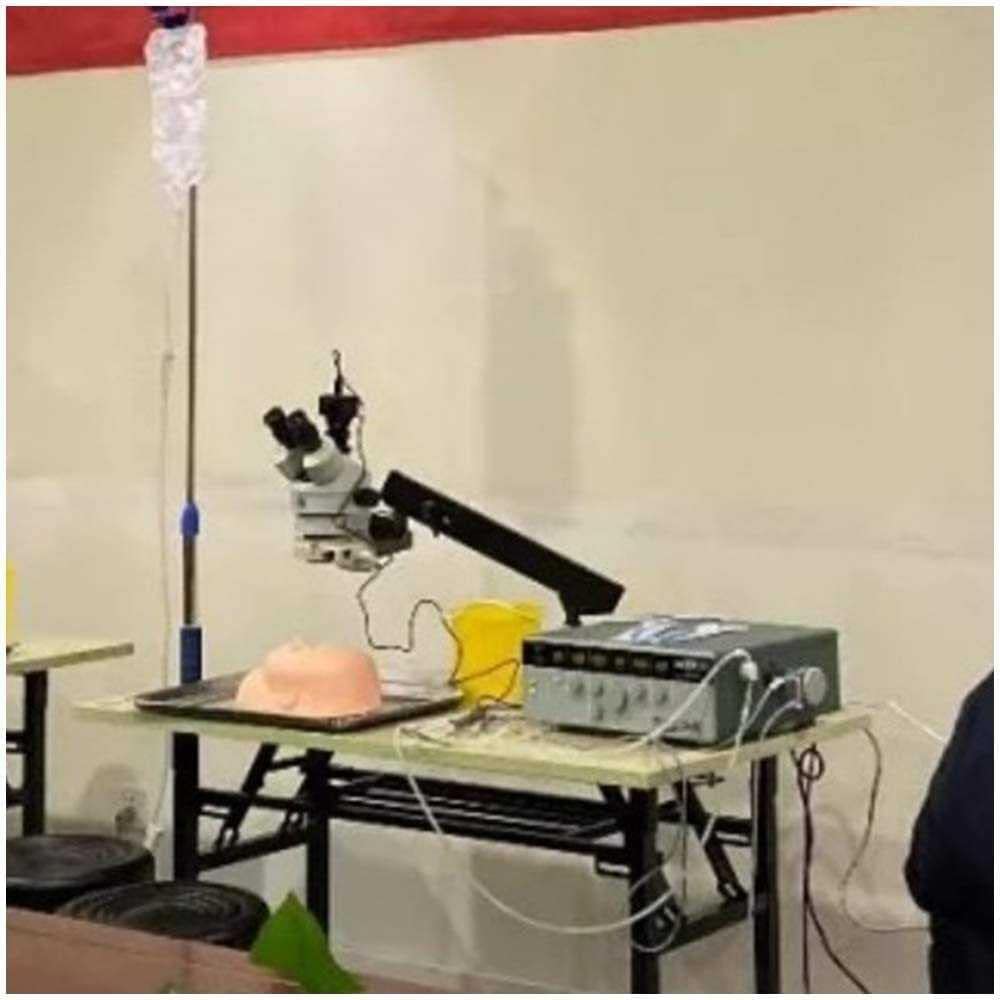 Tieraugen-Trainingsmodell – Silikon-Ophthalmologie-Kopf für medizinische Praxis, Krankenschwester Bildungsbedarf, Gesichtstraining-Mannequin für Studenten