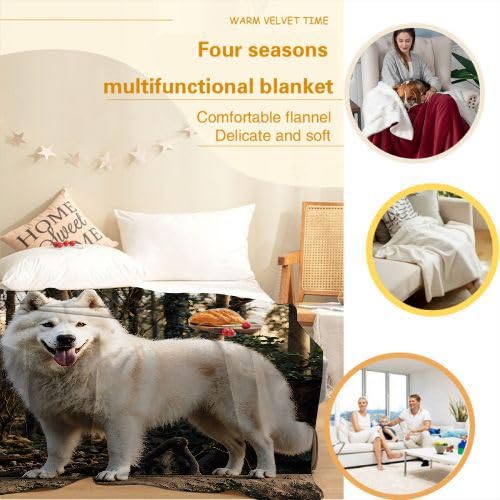 Plaid Polaire 220x240 Animal Chien, Couverture Polaire 220x240 | Dimensions Royales pour Lit King Size, d'une Douceur Persistante, Procure Une Expérience de Sommeil Chaleureuse I11-