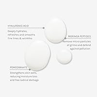 Vista 2 de Evolve Organic Beauty - Agua micelar de limpieza profunda Refresca, hidrata, calma Péptido de Moringa, ácido hialurónico Lote pequeño, belleza