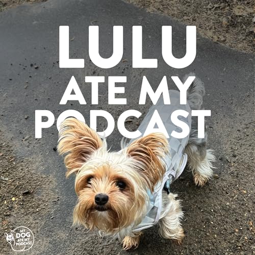 Confidence and Independence with Lulu the Yorkshire Terrier