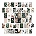 Kit de collage de pared de 50 piezas, imágenes estéticas, carteles verdes para la estética de la habitación, decoraciones de pared con fotos de plantas bohemias para niñas adolescentes, 4 x 6 pulgadas