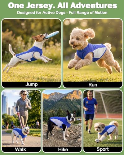Image of CuteBone Cooling Stretch Sport Dog Tank - Athletic Fan Pet Jersey - Color Block Pet Vest for Small Dogs, Cats