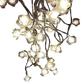 Bienvenido a la tienda YLSMN luces y accesorios, vendemos principalmente todo tipo de productos de iluminación. Nuestros productos están garantizados, puede estar seguro de comprar.