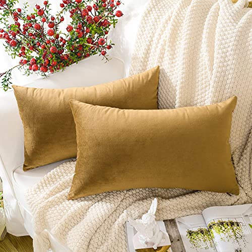 MERNETTE Pack of 2, Velvet Soft Decorative Rectangle Throw Pillow Cover Cushion Covers Pillow case, Home Decor Decorations for Sofa Couch Bed Chair 12x20 Inch/30x50 cm (Gold)