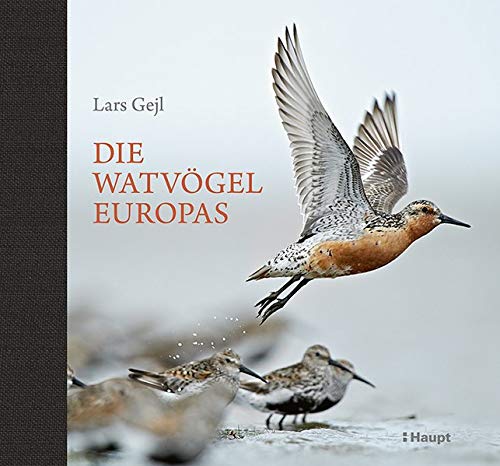 Die Watvögel Europas Die Watvögel Europas