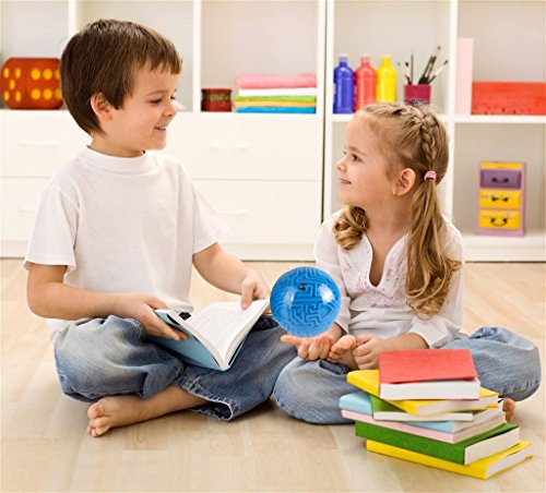 Mini 3D Magic Maze Puzzle Ball Cube Game Globe Sphere Bulk Labyrinth Toys Brain Teaser Game Learning Education Puzzle Toys Gifts (Hard Difficulty) #TOP4