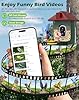 Smart Bird Feeder with Camera Solar Powered, 5MP 2.5K HD Live Video Birdhouse Camera, AI Identify, Instant Notify, Motion Detection, Cloud Storage, Color Night Vision, Ideal Gift for Bird Watching #3