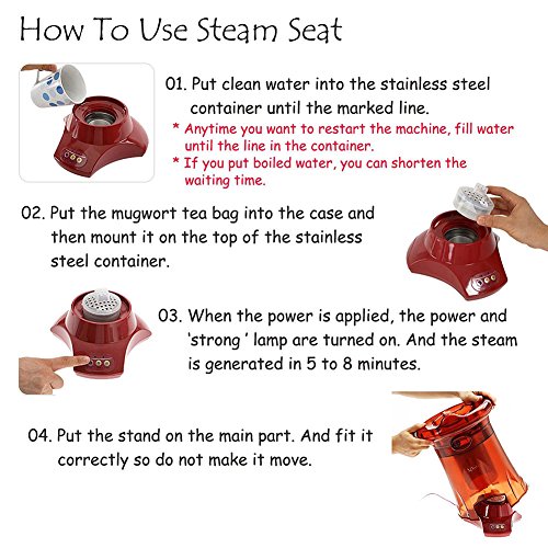 Diana Steam Seat Sjc-2200 Herbal Steamer 220V Face & Underbody Health Steam Spa (Steam Seat + Urethane Cushion + Mugwort Tea Bag) #TOP5