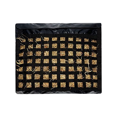 Little Giant Plastic Red 3 Feed Scoop