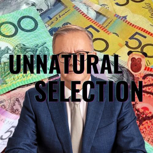 Political Pork-Barelling & Labor Grants | Adagio With Springs