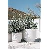 Grand Pot De Fleurs Plastique Avec Insert ø30cm Anthracite - Jardinière Moderne Intérieur Extérieur