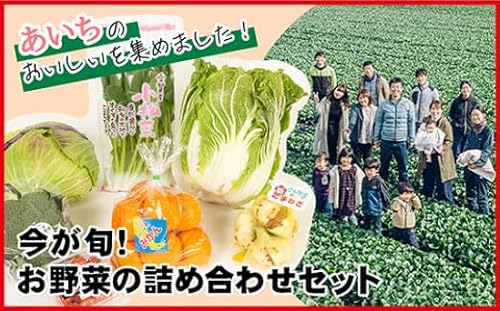 今が旬!お野菜の詰め合わせセット[No.214]/ 新鮮 季節の野菜 おまかせ たっぷり 愛知県 特産品 阿久比町