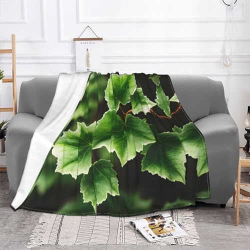 Couverture douce chaude lierre fleurs pour vos soirées cocooning