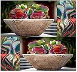 Kalanchoe thyrsiflora Seeds -,Growing Cactus seeds is fun & rewarding(100 Seeds)
