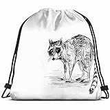 ҈ Light weight and Foldable design, easy to open and carry. It can be used as a dancing bag, shopping bag, gym bag etc,which is a great replacement of plastic and paper bags.