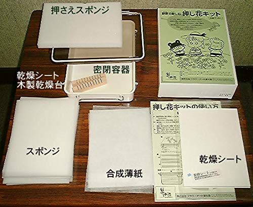 Amazon.co.jp: フラワーアート夢大陸 野原で楽しむ押し花キットM