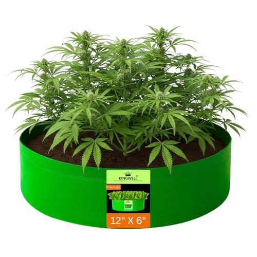 Image of Kingwell Grow Bag For Terrace Garden Leafy Vegetable Plant Grow Bags Fruits Growing Containers For terrece Gardening (12 X 6 INCH, PACK OF 1)