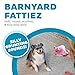 Outward Hound Fattiez Pig Plush Squeaky Dog Toy, Small