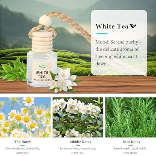 Car Air Freshener Oil Diffuser - Hanging Long Lasting Scent for Car & Home, Essential Oil Freshener with Adjustable Fragrance(Bamboo Rain+White Tea)