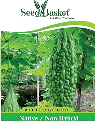 Native/Non-GMO Bitter Gourd Seeds for Home Gardening(20 Seeds with More than 70% Germination) And Instruction Manual (B09N1NQRK5) Amazon Price History, Amazon Price Tracker