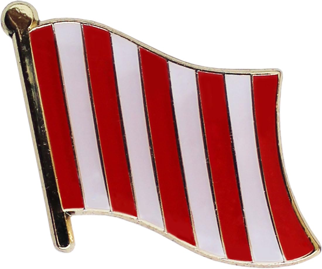 Sons of Liberty - Historic Flag Lapel Pin