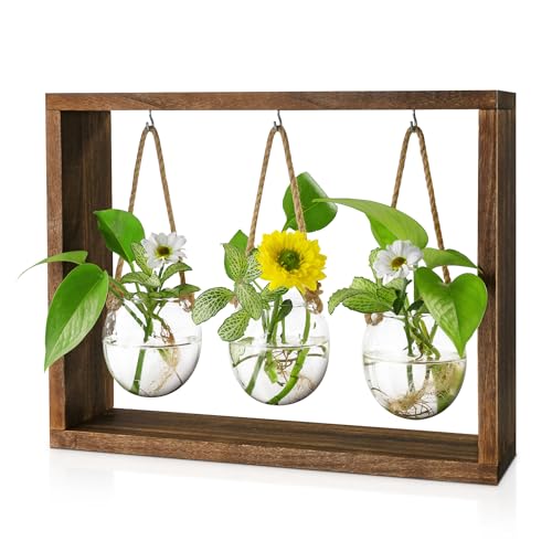 Grovind Pflanzen Glasvasen, Desktop Luftpflanzen Terrarium mit Holzständer Glasvase, Blumenvase Glas-Pflanzgefäße für Hydroponik-Pflanzen Home Büro Geschenk für Frau