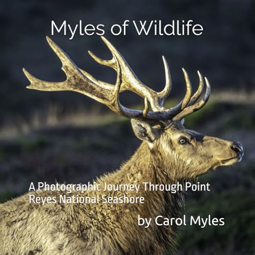Myles of Wildlife: A Photographic Journey Through Point Reyes National Seashore