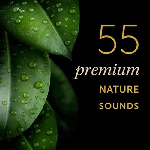 55 Premium Nature Sounds Most Popular Nature Sound Effects On Earth by