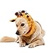 Zoo Snoods Giraffe Costume - Knit Dog Snood Ear Wrap for Pets, Warm Neck Cover for Halloween and Winter (Medium)
